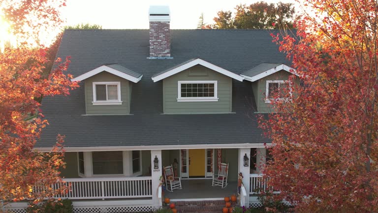 Best Chimney Flashing Repair  in Rankin, TX